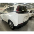 Comfortable Travel Pentium NAT Electric Vehicle