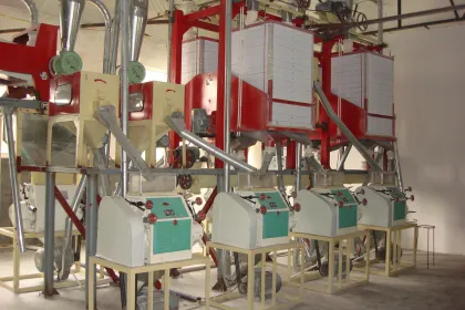 Wheat Flour Mill Machinery: 30T Wheat Flour Plant