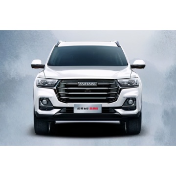 2023 Haval H6 1.5T Automatic Urban SUV - China Great Wall New Car
