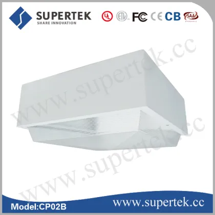 suspended induction ceiling light