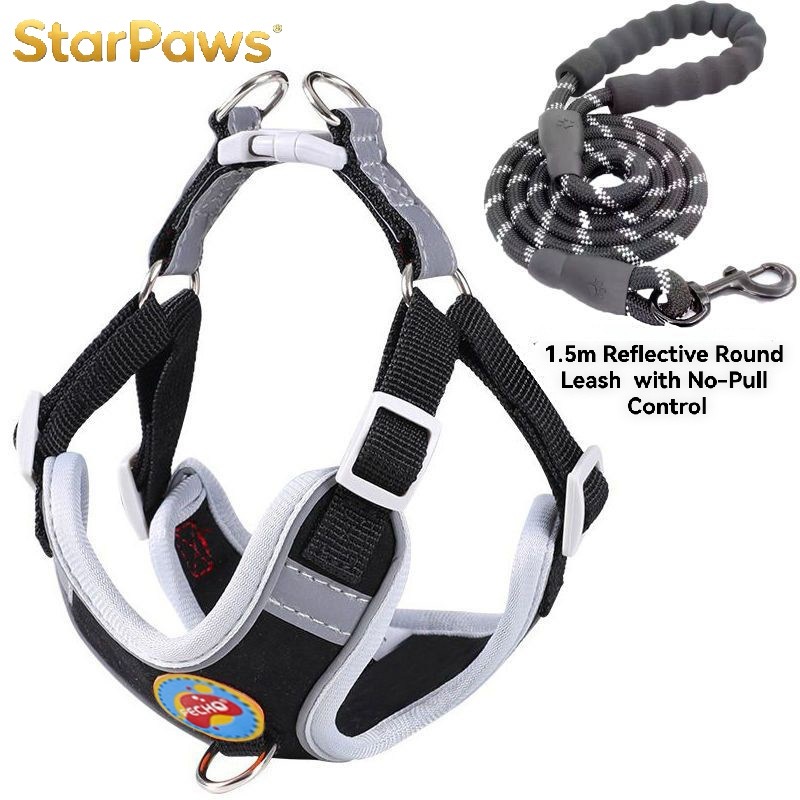 Breathable Dog Harness and Leash Set
