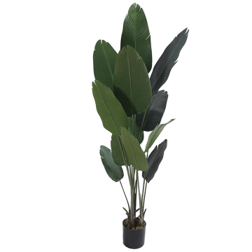 Artificial Linwoo Plastic Trees for Interior Decoration: Bird of Paradise and Banana Tree Options