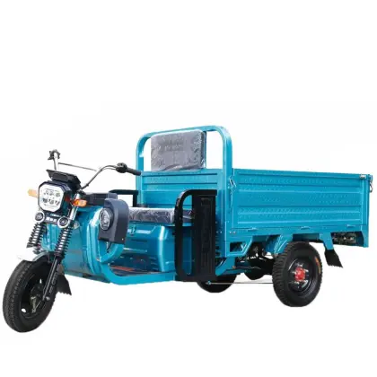 Mobility Three Wheeled Electric Motorcycle Cargo