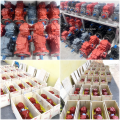 PVD-1B24BP Excavator Hydraulic Piston Pump For Yanmar