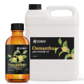 100 ٪ عطر روغن مطلق Osmanthus طبیعی روغن گل