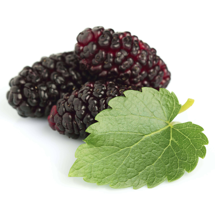 Mulberry Fruit Extract