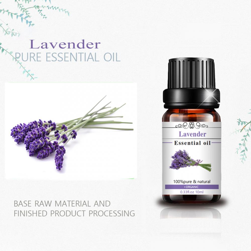 Wholesale Organic Body Massage Lavender Essential Oil