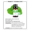 High Quality Centella Essential Oil Pure Oil for Aroma