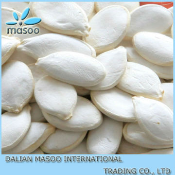 2012 crop PUMPKIN SEEDS (AA GRADE,A GRADE).