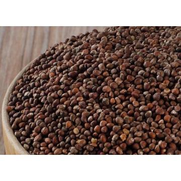 Perilla Seed Benefits For Skin