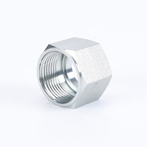 Ferrule Pipe Connector Cap Nuts Pipe Fittings Stainless Steel Hexagon Nut Supplier