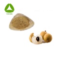 Arillus Longan Extraktpulver 100% natürlich 10: 1