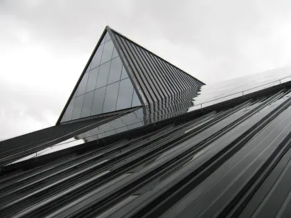 Qihong International Hotel Grid Roof Project