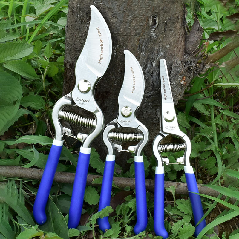 Professional labor-saving gardening scissors Bonsai fruit tree bypass pruning scissors