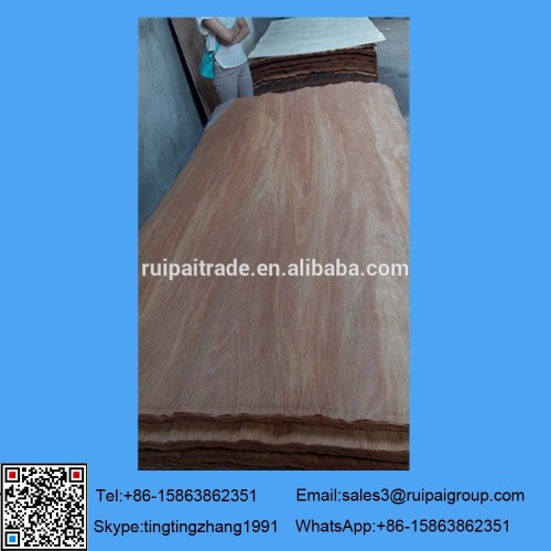 Linyi Ruipai Good Reputation Well Known Product design veneer door