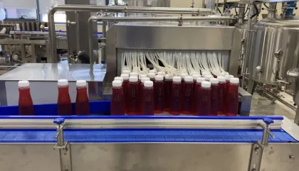 Pickled Vegetables and Fruits Enzymes Probiotics Beverage Production Line 500ml PET Bottle Filling