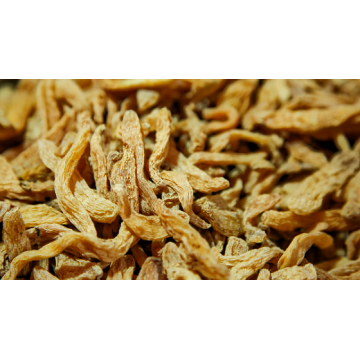 Purity Rhizoma Gastrodiae/Tall Gastrodiae Extract Powder