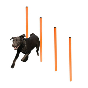 Perros de entrenamiento de la agilidad del perro asegurados 4 postes de tejido