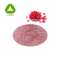 Pure Freeze Dried Pomegranate Juice Powder