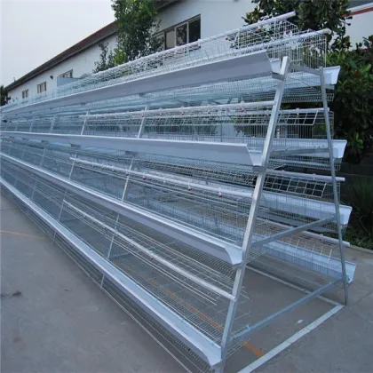 Alibaba Gold Supplier chicken cage/chicken farm/chicken cage for sale for all world