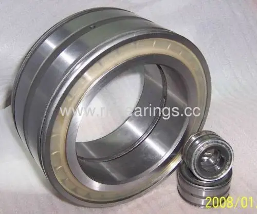 Sl01 4910 Pp Cylindrical Roller Bearings 