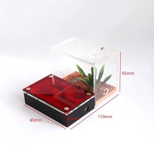 Small Acrylic Ant Box Blackout Acrylic Cage