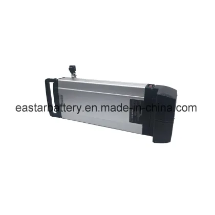 Electric Bike 48V 20ah Lithium Battery