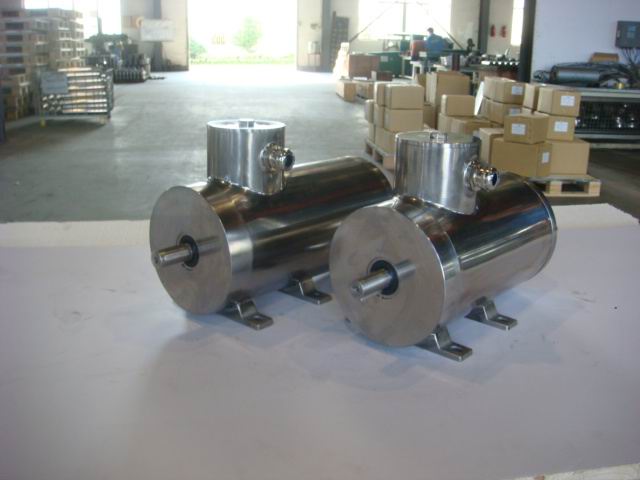 Iec Standard Stainless Steel Motor