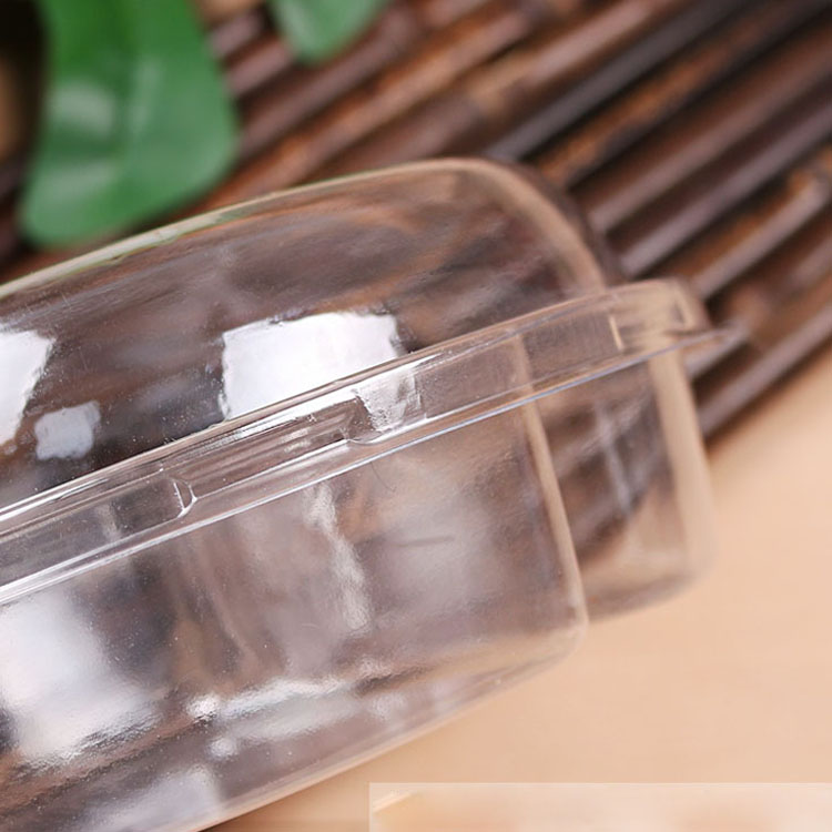Snack Blister Box Insert Tray with Clear Lid