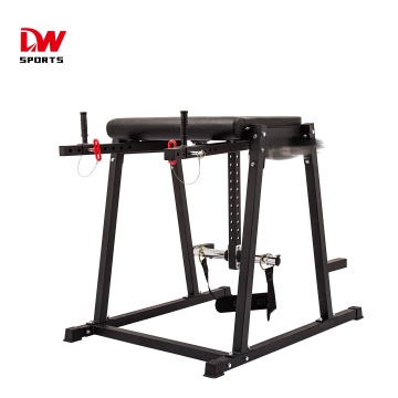 DW Sports Home Fitness: uitgebreide gids voor sportschoolapparatuur - omgekeerde hypermachine, omgekeerde hyperverlenging en ontwikkelaar van gluteham