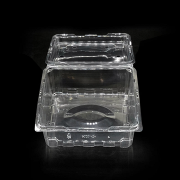 PET Mushroom Box Fruit Vegetables Clamshell Packaging Tray