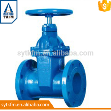 2015 TKFM flange connection 2 inch water pipe plain gate valve cad drawings