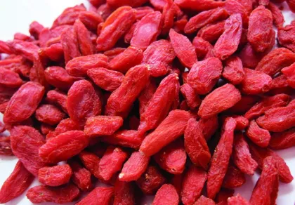 Fresca organica seca Goji Berry