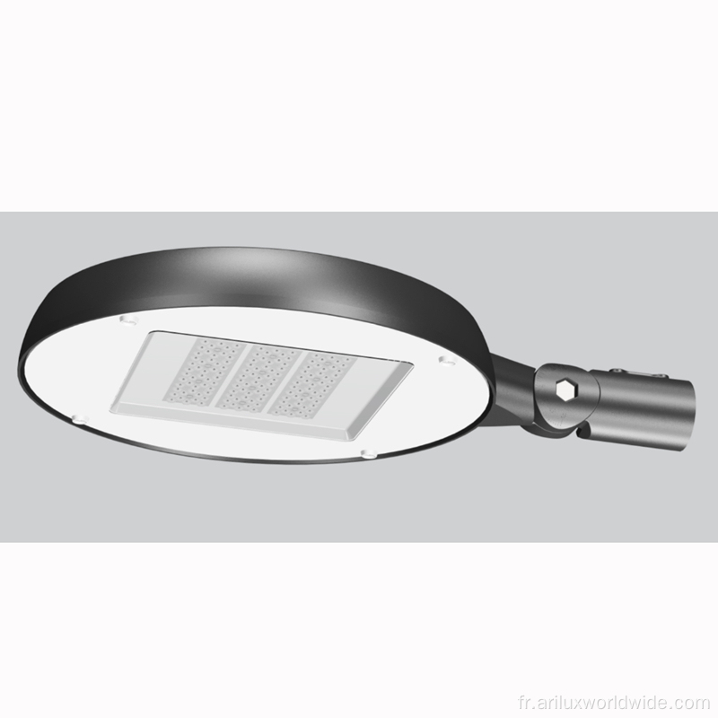 Lumières de jardin IP66 60W directes d&#39;usine