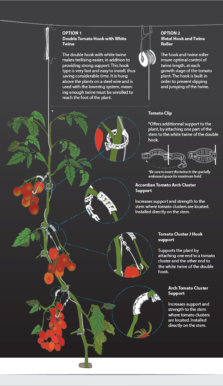 Lot de 40 crochets à tomates, crochets porte-tomates et clips de support  pour plantes avec ficelle de 10 m pour empêcher les tomates de se pincer.