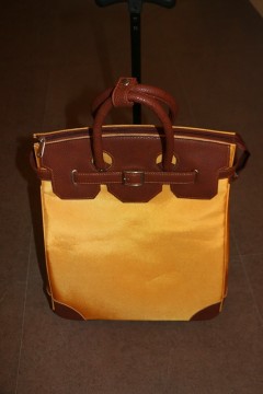 hot sale trolley luggage