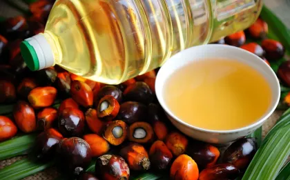 120 model palm oil press