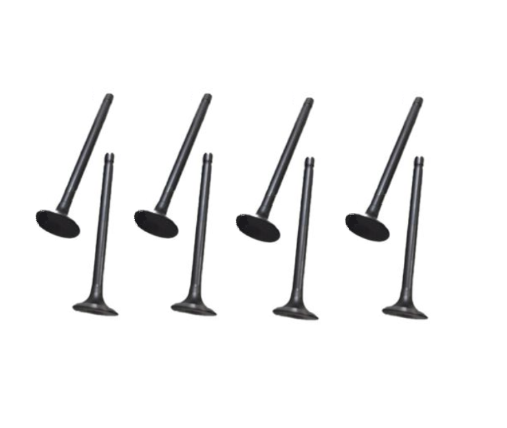 Replacement Intake Valve for CAT C15 Engine