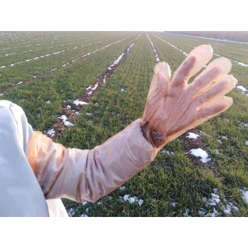 Gants vétérinaires orange à bras long jetables orange