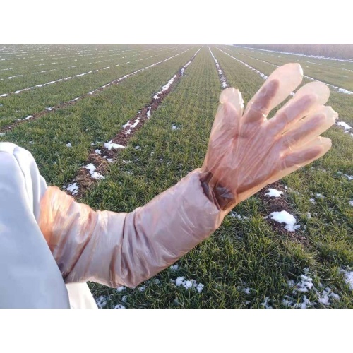 Gants vétérinaires orange à bras long jetables orange