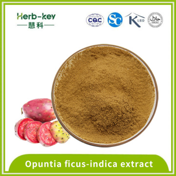 Solid Drink 10% Polysaccharide 10:1 Pome Cactus powder