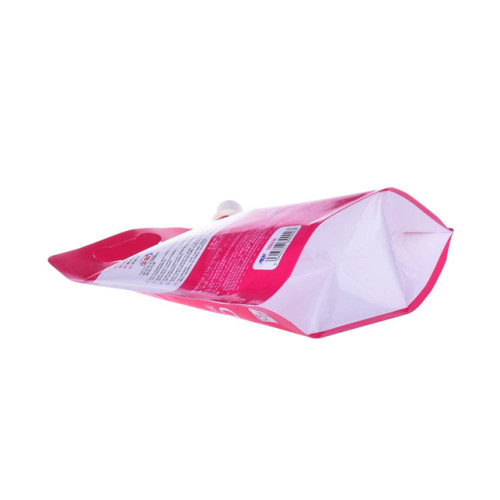 Stand up laundry detergent bag wi