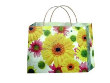 paper gift bag