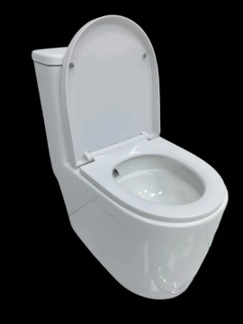 Modern Multi-Function Toilets for Small Bathrooms