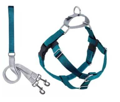 dog harness