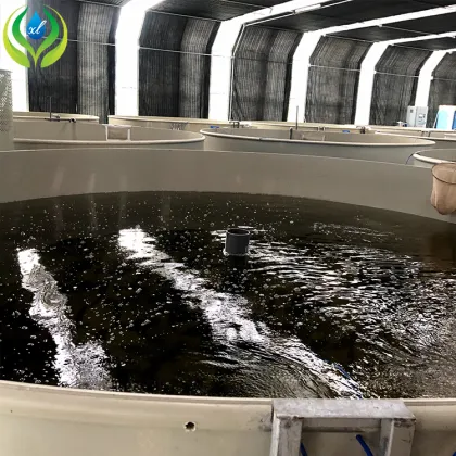 MYXL Aquaponics Greenhouse Fisheries: Fish Farming Equipment and Aquaculture Systems