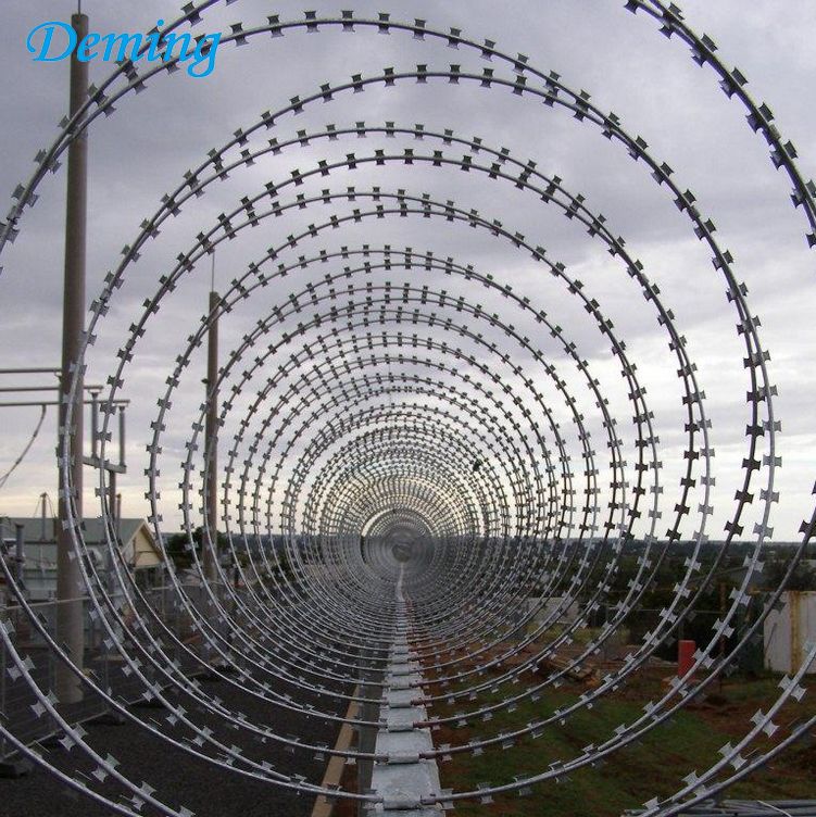 Factory Low Price Concertina Razor Barbed Wire