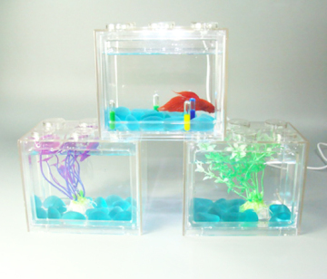 Small clear acrylic aquarium/fish tank