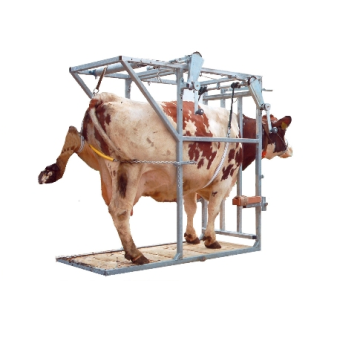 Cattle equipment /Electric Cattle Hoof Trimming