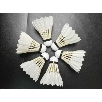 Cztery klasy badmintona Goose Feather